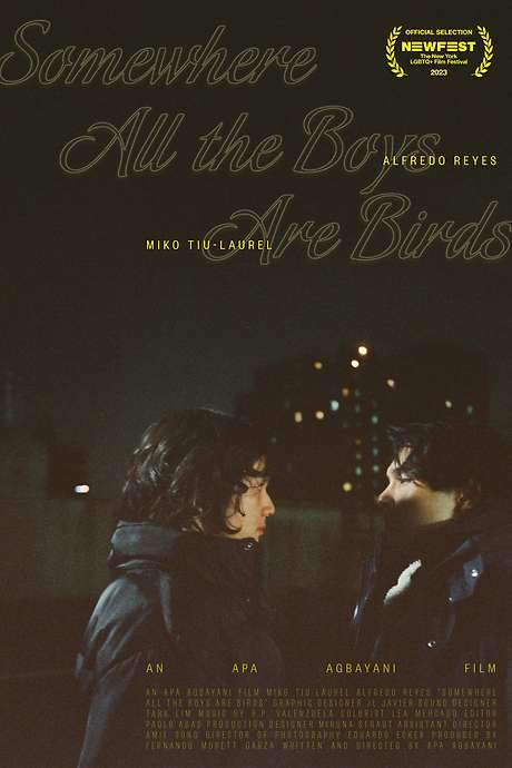 Somewhere all the boys are birds
